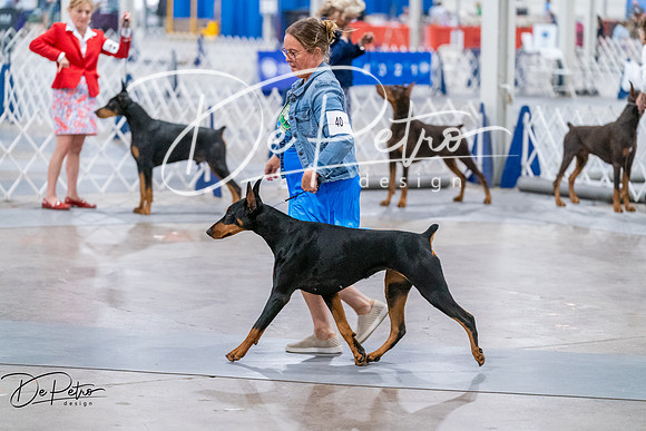 20260705-DSC08484