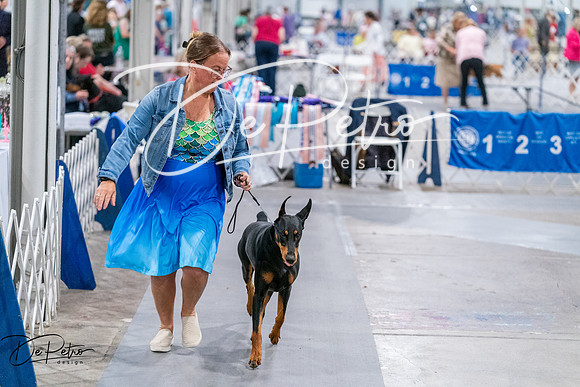 20260705-DSC08503