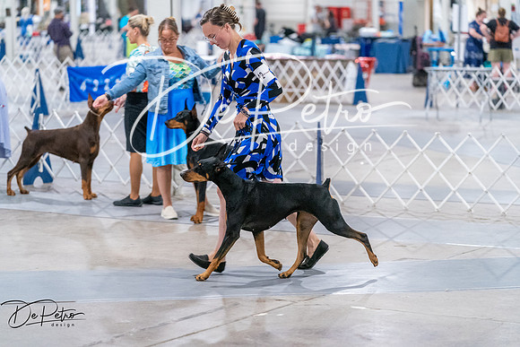 20260705-DSC08536