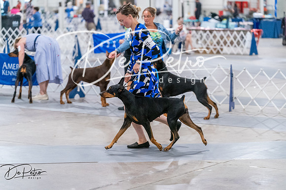 20260705-DSC08540