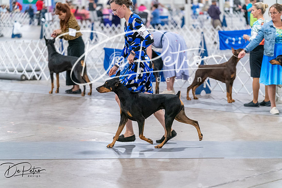 20260705-DSC08550