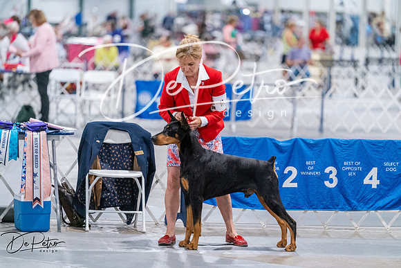 20260705-DSC08554