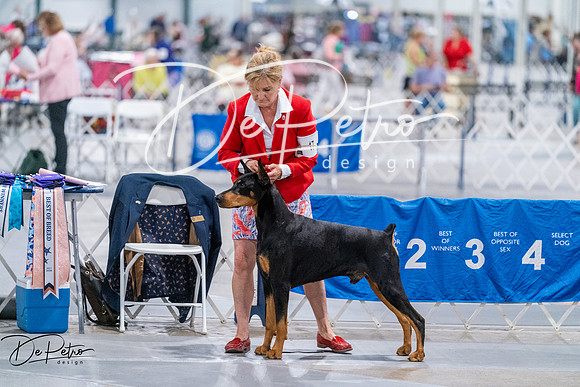 20260705-DSC08555