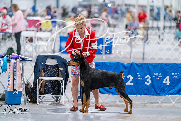 20260705-DSC08556