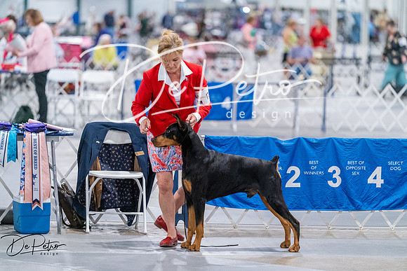 20260705-DSC08560