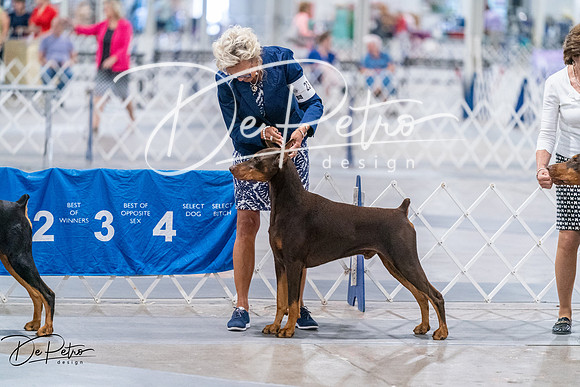 20260705-DSC08571