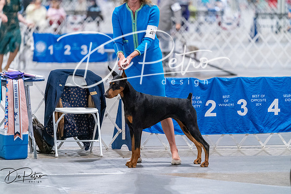 20260705-DSC07804