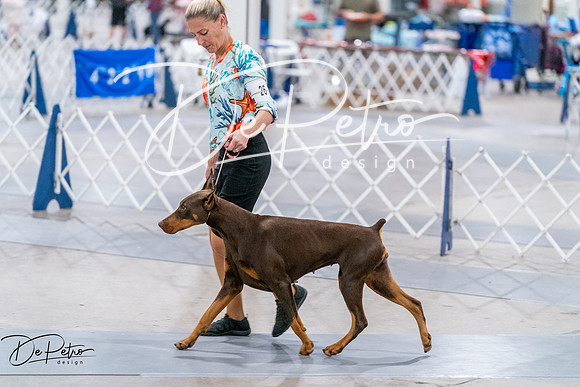 20260705-DSC07811