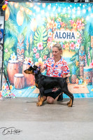 20260704-DSC05501