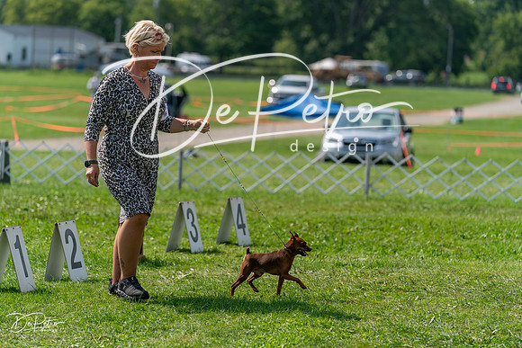20240816-DSC00343