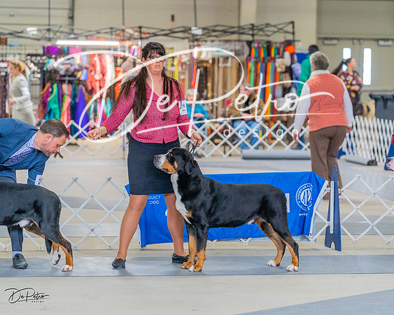 20230304-DSC07281