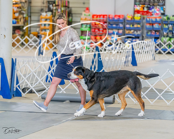 20230304-DSC07292