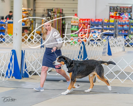 20230304-DSC07293