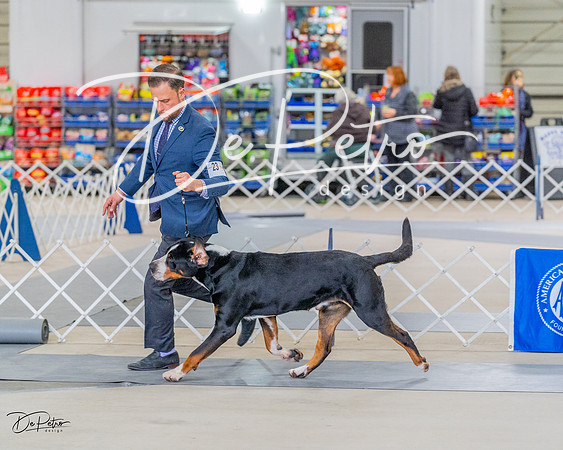 20230304-DSC07325