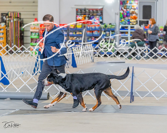 20230304-DSC07327