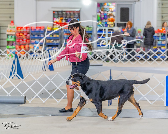 20230304-DSC07342