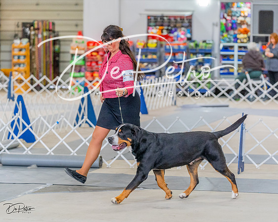 20230304-DSC07344