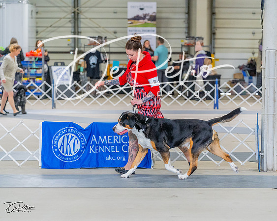 20230304-DSC07355