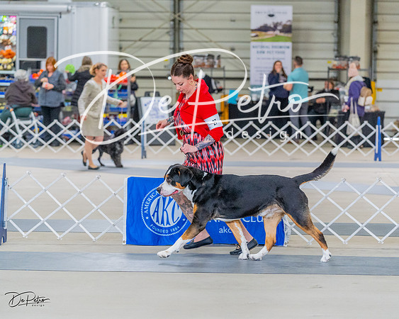 20230304-DSC07357