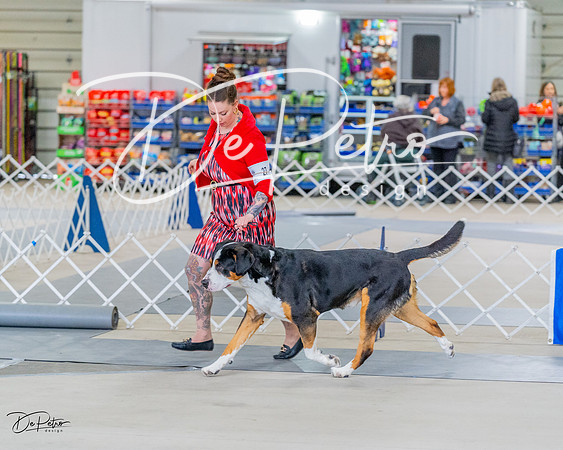 20230304-DSC07364
