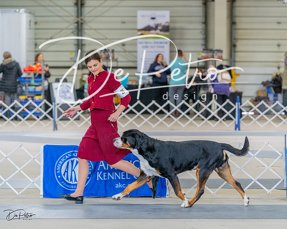 20230304-DSC07377