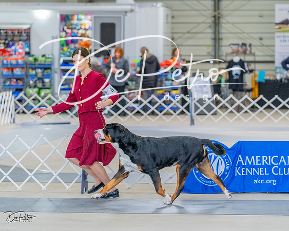 20230304-DSC07382