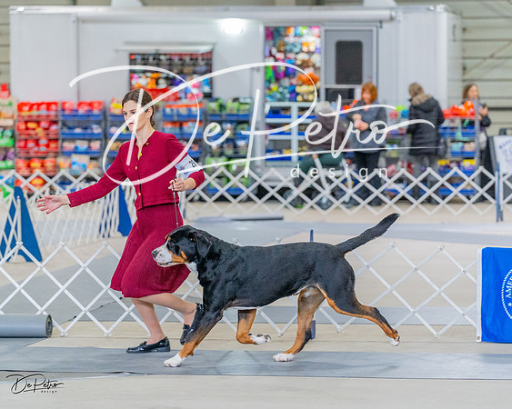 20230304-DSC07385