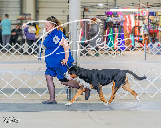 20230304-DSC07393