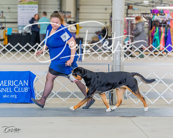 20230304-DSC07395