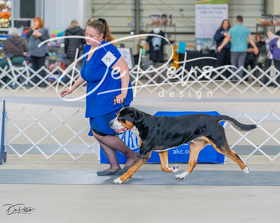 20230304-DSC07400