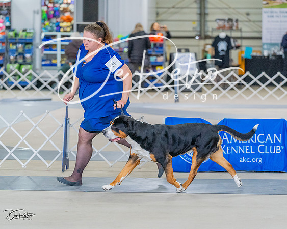 20230304-DSC07402