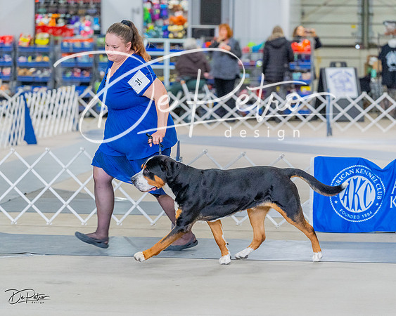20230304-DSC07404