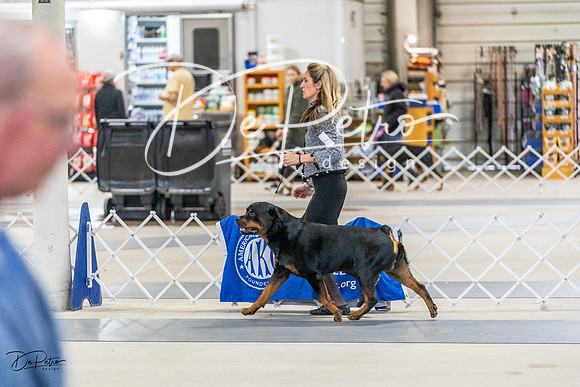 20230304-DSC08759