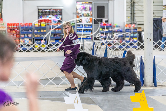 20230304-DSC08784
