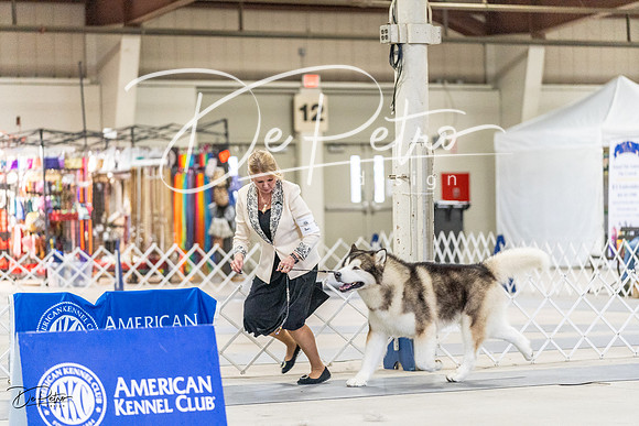 20230304-DSC08801