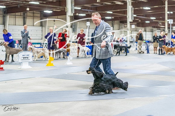 20230304-DSC00004