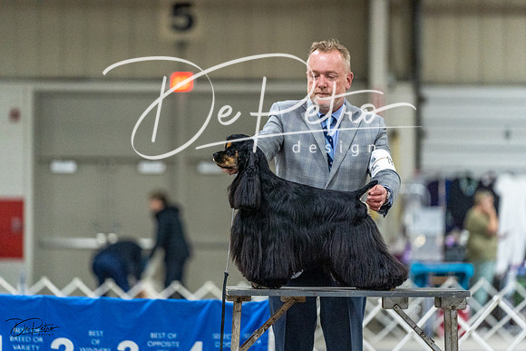 20230304-DSC00001