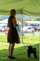 20240816-DSC00195