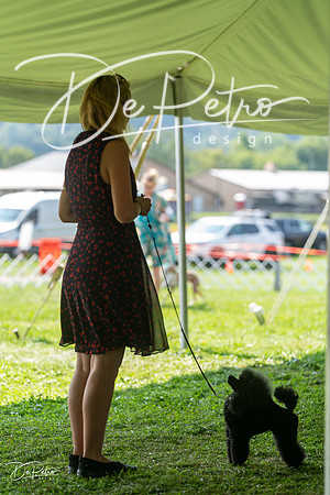 20240816-DSC00195