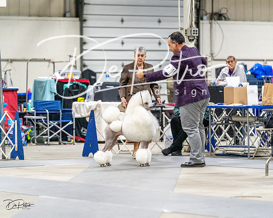 20230304-DSC00097