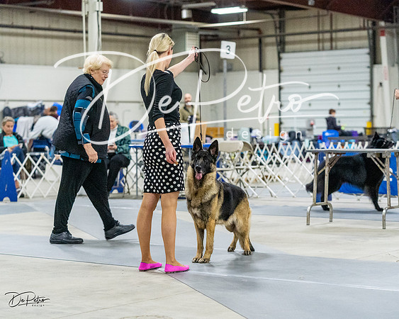 20230304-DSC00428