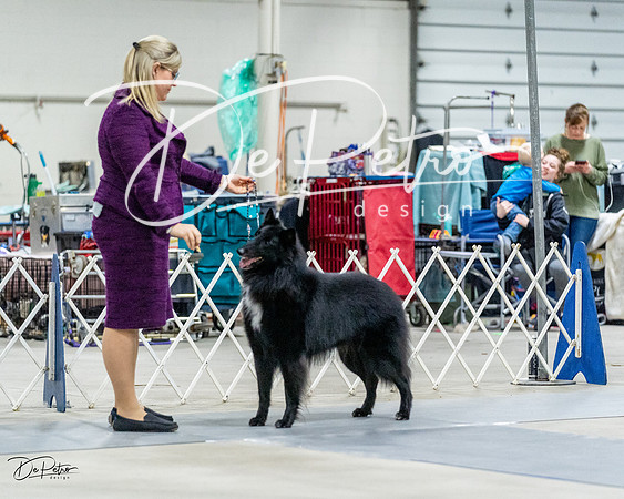 20230304-DSC00455