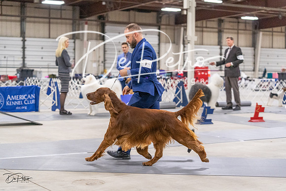 20230304-DSC01665