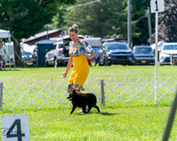20240630-DSC02471