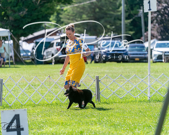 20240630-DSC02471
