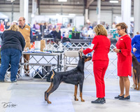 20230305-DSC08394