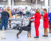 20230305-DSC08393
