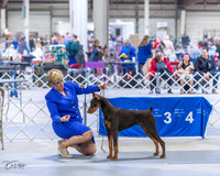 20230305-DSC08396