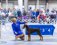 20230305-DSC08397