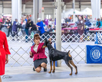 20230305-DSC08403